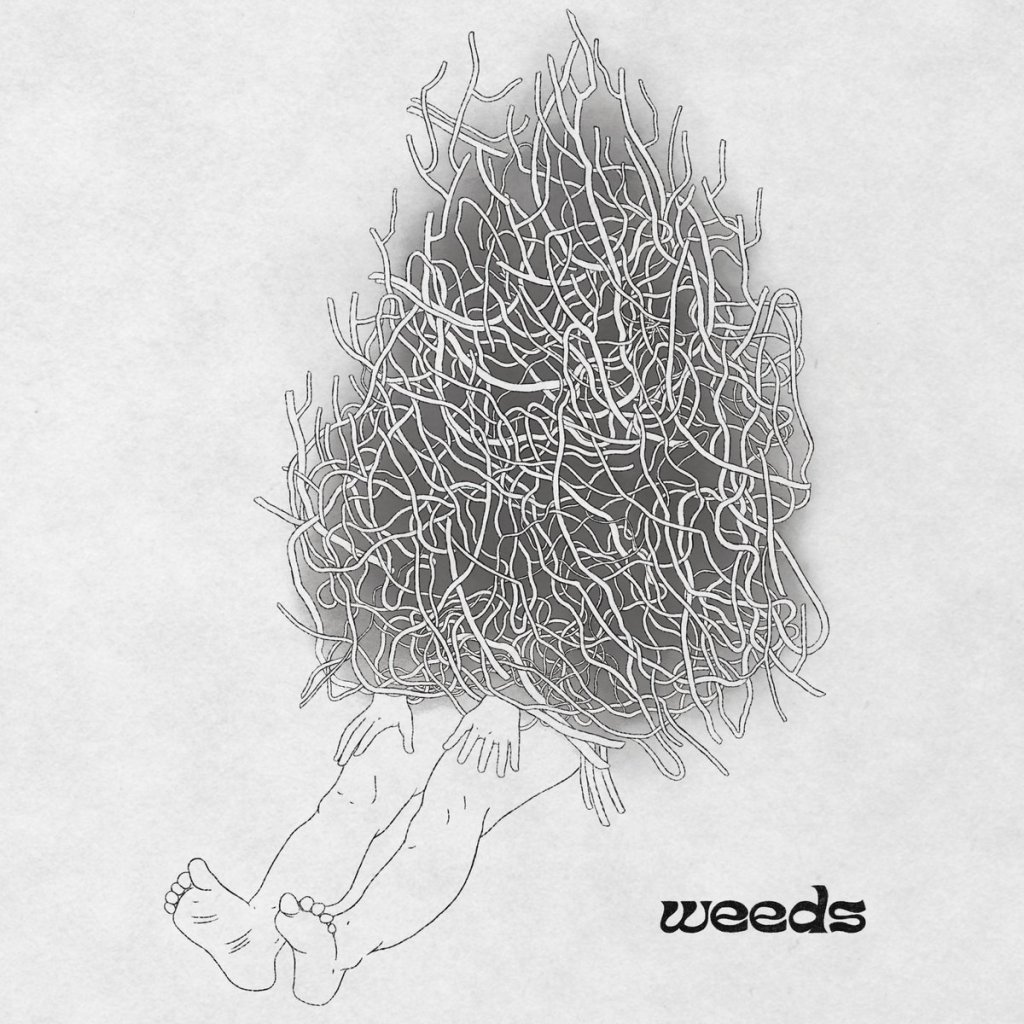 The Creepy Crawlies – Weeds (Record&nbsp;Review)