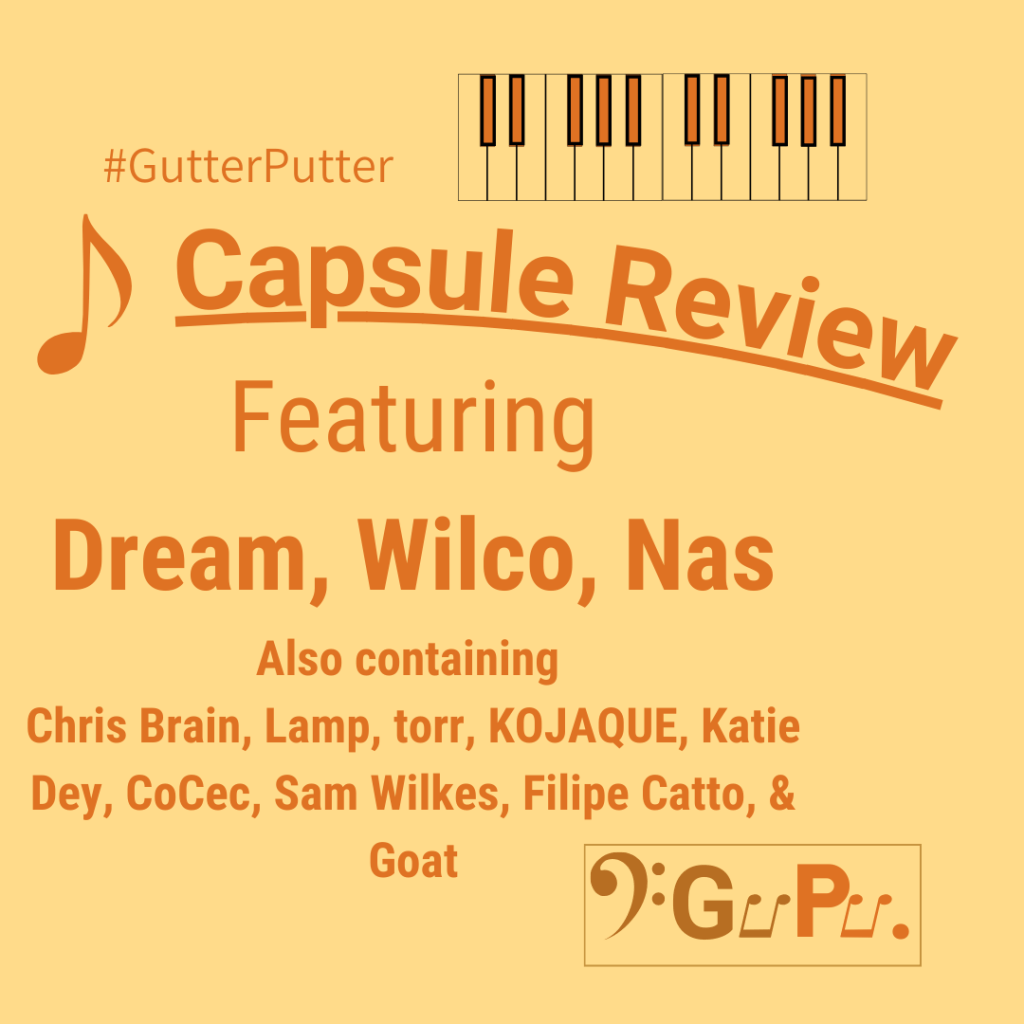 Capsule Review (November 2023 – Part 1) – Dream, Wilco,&nbsp;Nas…