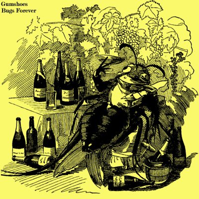 Gumshoes – Bugs Forever (Record&nbsp;Review)