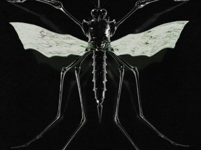 Wax Head – GNAT (Record&nbsp;Review)